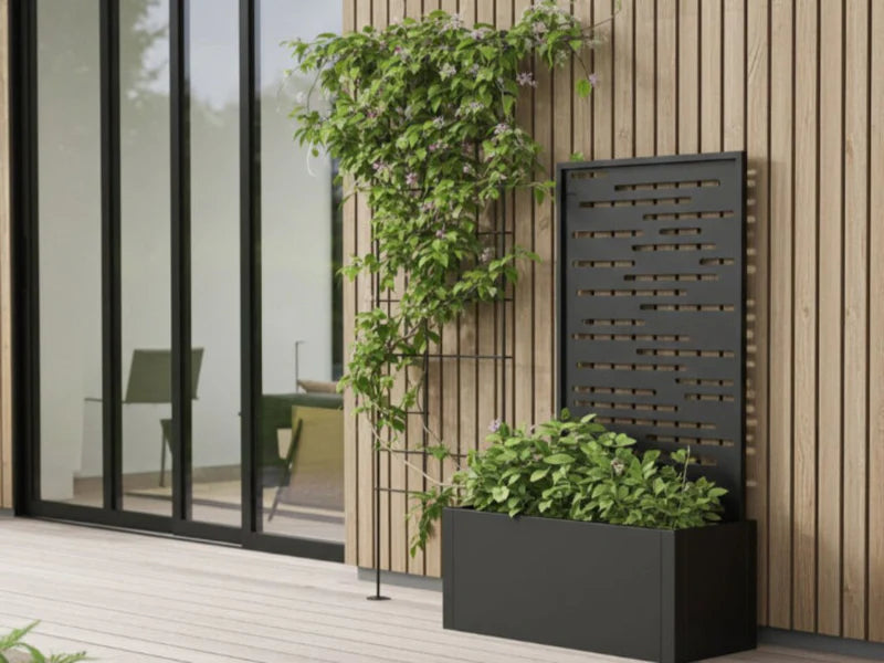 Plantekasse med espalier i svart stål ved inngangsparti