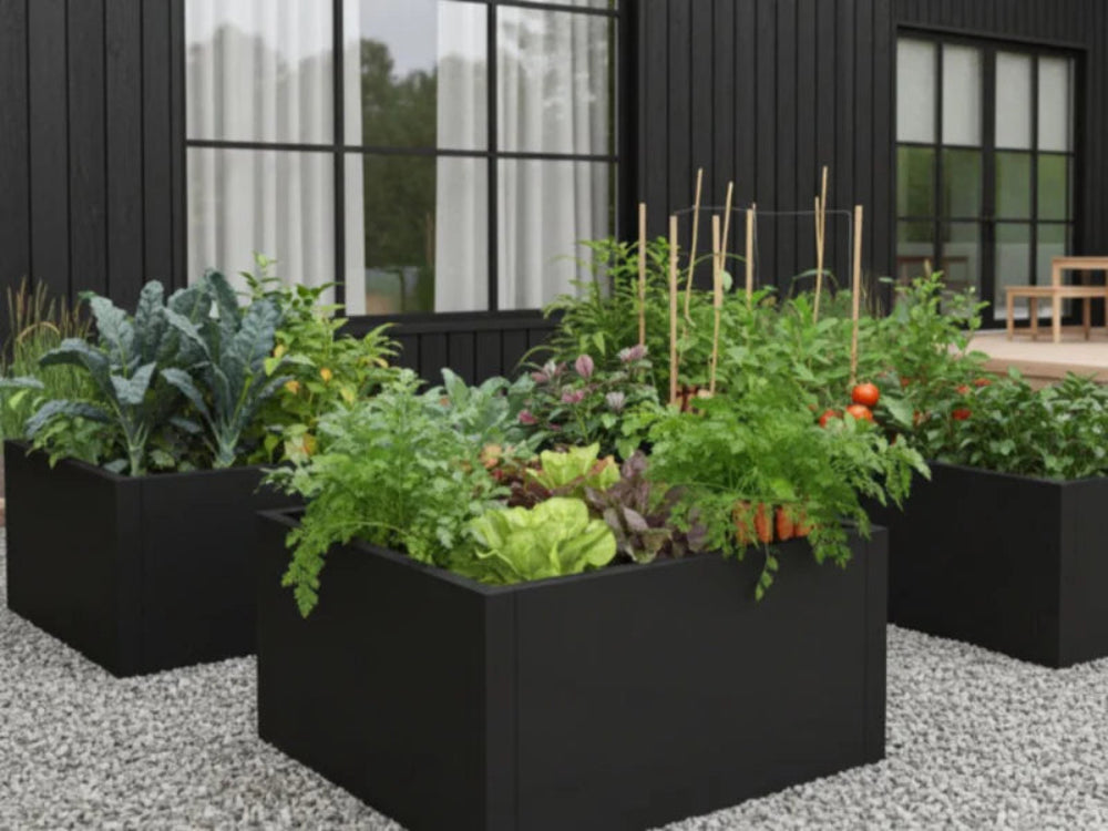 Høybed i svart metall CUBY med urter og grønnsaker i hage