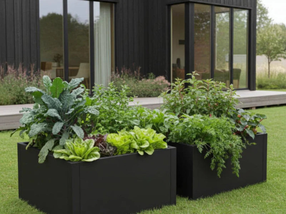 Svart høybed i metall CUBY med grønnsaker på moderne terrasse