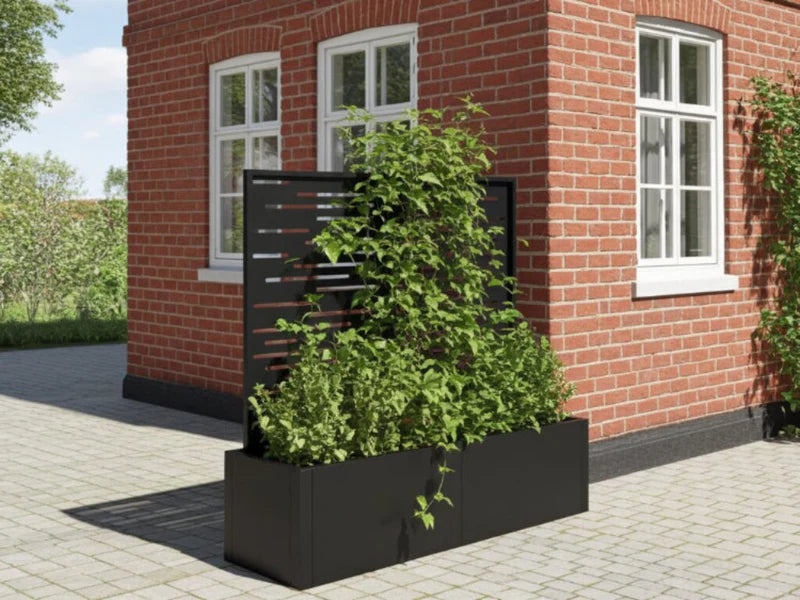 Plantekasse i svart stål med espalier og klatreplanter