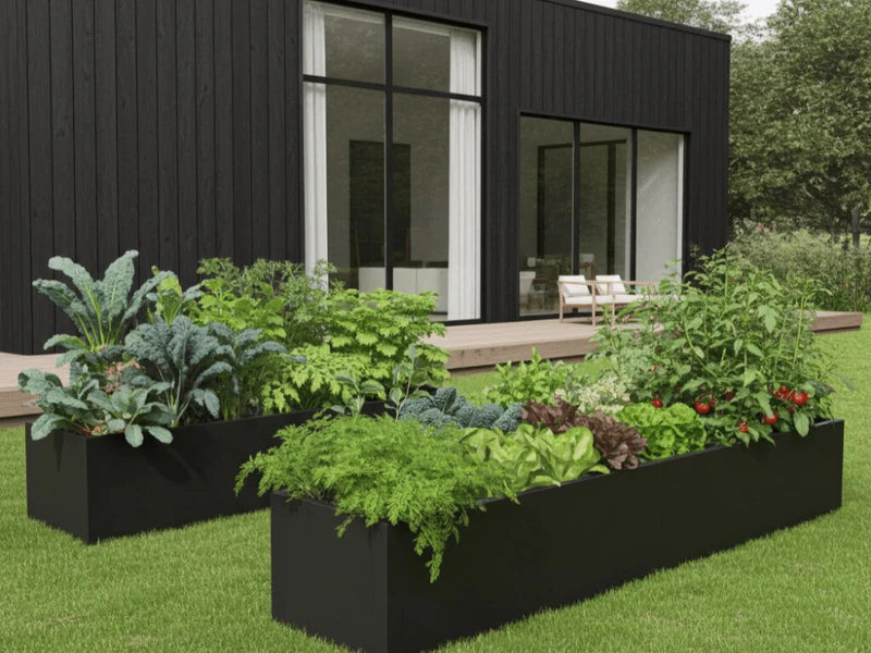 Plantekasse i svart stål med grønnsaker og urter