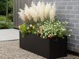 Plantekasse i svart stål med pampasgress