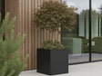 Plantekasse i svart stål med prydtre ved moderne fasade