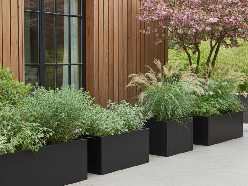 Plantekasser i svart stål med stauder og prydgress langs trefasade