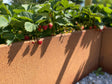 Cortenstål plantekasse CUBY bredde 40 x H80 cm - Flere længder