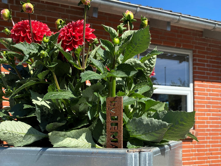 sommerblomster-galva-plantekasse-no