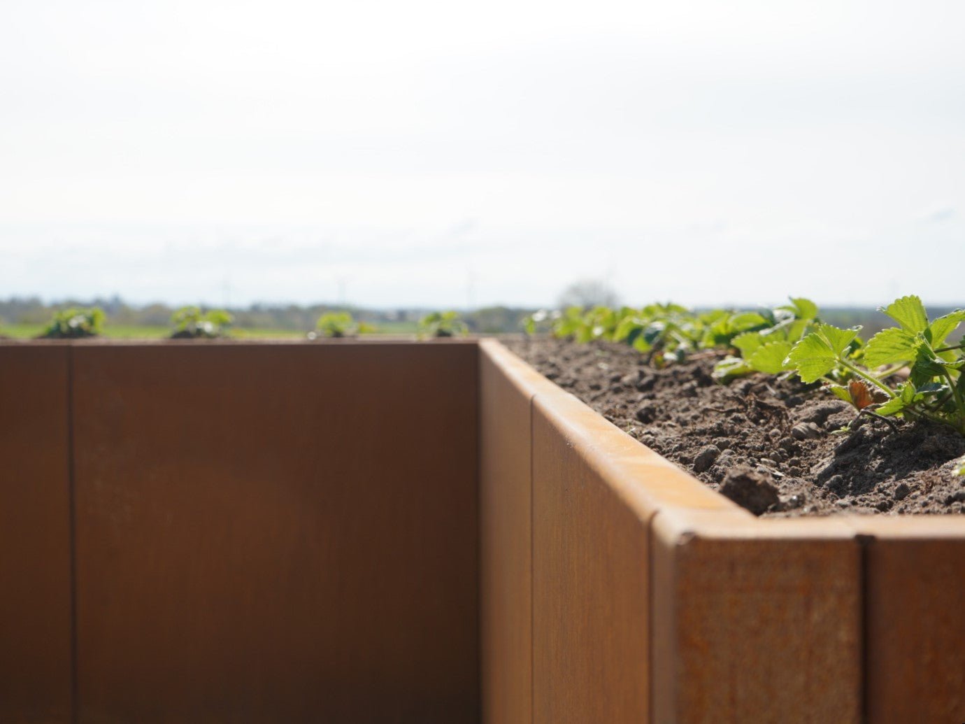vinkel-plantekasse-detaljer-no