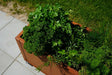 Cortenstål plantekasse CUBY 150 x 40 x 40 cm