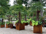 Plantekasse cortenstål CUBY 80 x 80 x 80 cm